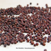 Load image into Gallery viewer, Kampotin Punapippuri pippurimylly (uudelleen täytettavä)